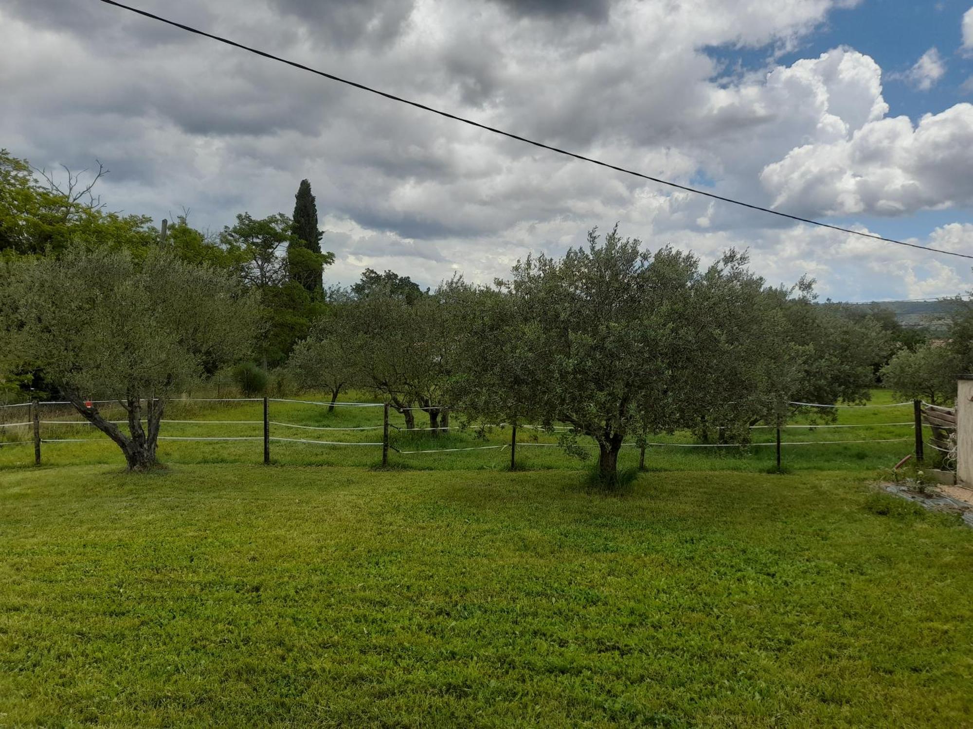 Maison A La Campagne Volx Kültér fotó